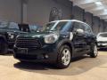 usato MINI Countryman