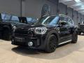 usato MINI Countryman