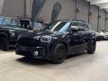 usato MINI Countryman