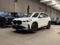 usato BMW X1