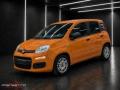 usato FIAT Panda