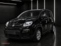 usato FIAT Panda