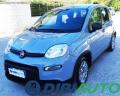 usato FIAT Panda