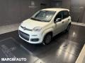 usato FIAT Panda