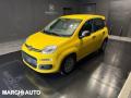 usato FIAT Panda