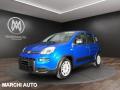 usato FIAT Panda