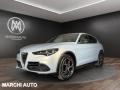 usato ALFA ROMEO Stelvio
