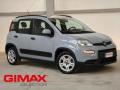 usato FIAT Panda