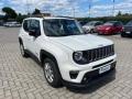 usato JEEP Renegade