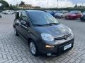 usato FIAT Panda