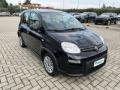 usato FIAT Panda