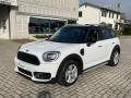 usato MINI Countryman