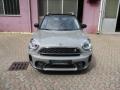 usato MINI Countryman