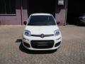 usato FIAT Panda