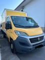 usato FIAT Ducato