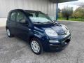 usato FIAT Panda