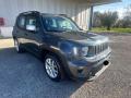 usato JEEP Renegade