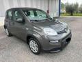 usato FIAT Panda