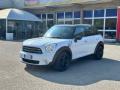usato MINI Countryman
