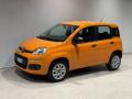 usato FIAT Panda