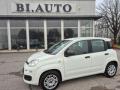 usato FIAT Panda