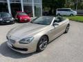 usato BMW 650