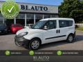 usato FIAT Doblo