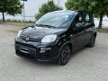 usato FIAT Panda