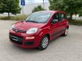 usato FIAT Panda