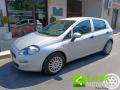 usato FIAT Punto