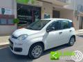 usato FIAT Panda