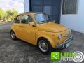usato FIAT 500L