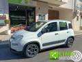usato FIAT Panda