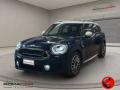 usato MINI Countryman