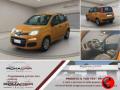 usato FIAT Panda
