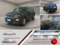 usato JEEP Renegade