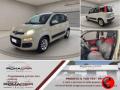 usato FIAT Panda
