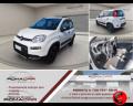 usato FIAT Panda