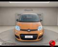 usato FIAT Panda