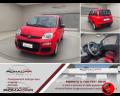 usato FIAT Panda