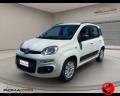 usato FIAT Panda