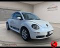 usato VOLKSWAGEN New Beetle