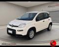 usato FIAT Panda