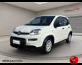 usato FIAT Panda