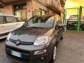 usato FIAT Panda