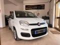 usato FIAT Panda