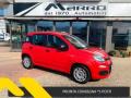 usato FIAT Panda