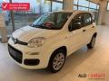 usato FIAT Panda