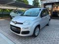 usato FIAT Panda