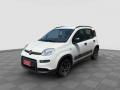usato FIAT Panda